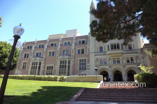 UCLA (181)